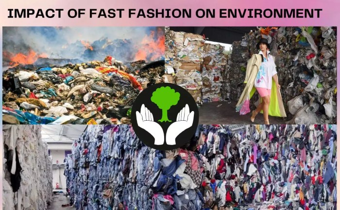 Beyond Fast Fashion: Exploring Ethical Apparel Brands