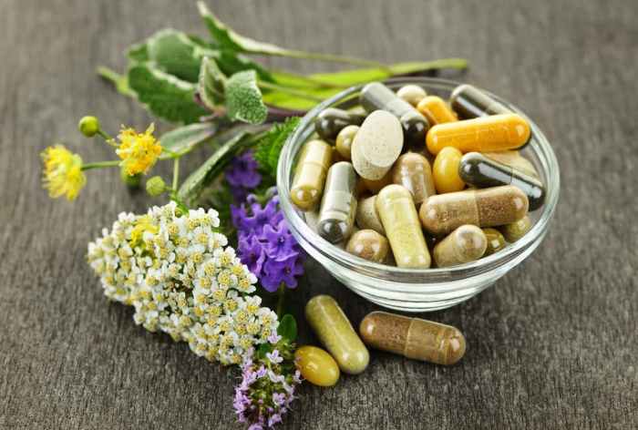 10 Best Dog Health Supplements — For Overall Dog health Pet Wellness: Supplements and Health Products for Animals