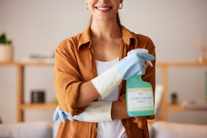 Why The Clean Haven Uses Eco-Friendly Cleaning Products Eco-Friendly Cleaning: Green Products for a Healthier Home