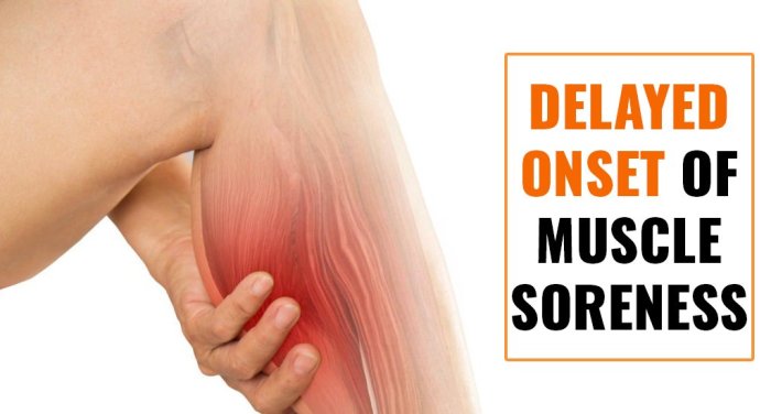 Recovery Essentials: Tools for Muscle Soreness and Relaxation