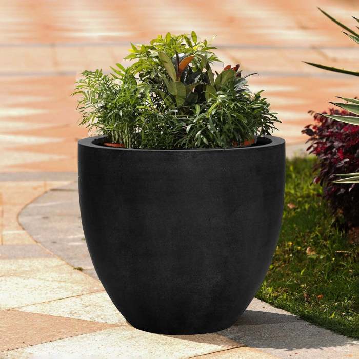 Indoor Plant Power: Stylish Planters and Plant Care Tools