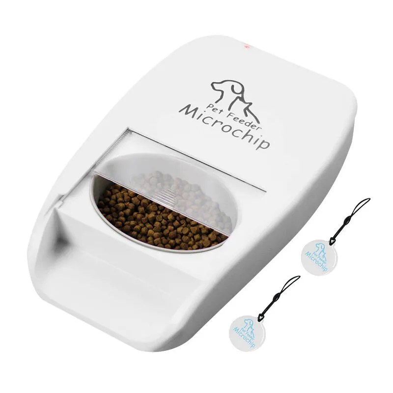 Pet Tech for a Happy Home: Smart Feeders and Monitors