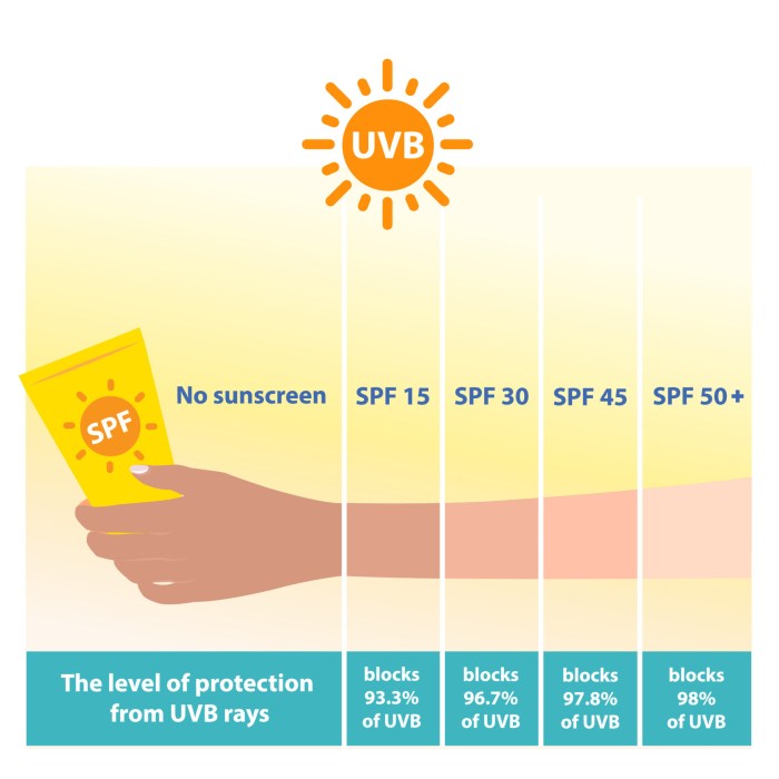 The different levels of SPF sunscreen protect UVB rays vector on white ... Sun Care Innovations: New Forms of UV Protection